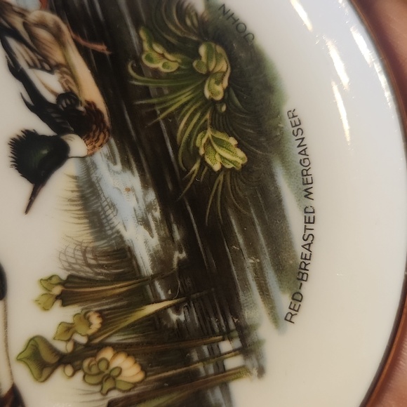 JWK Josef Kuba Bavaria Porcelain Trinket Dishes John James Audubon Duck Scenes - Picture 9 of 14